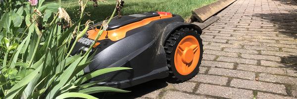 Mo, the robotic lawnmower stuck in a plant